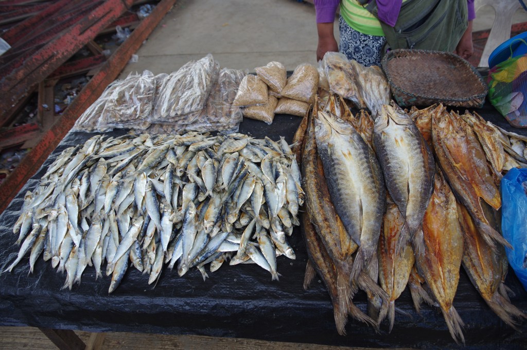 This image has an empty alt attribute; its file name is imgp1859.jpg