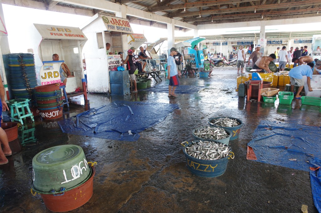 This image has an empty alt attribute; its file name is imgp1860-1.jpg