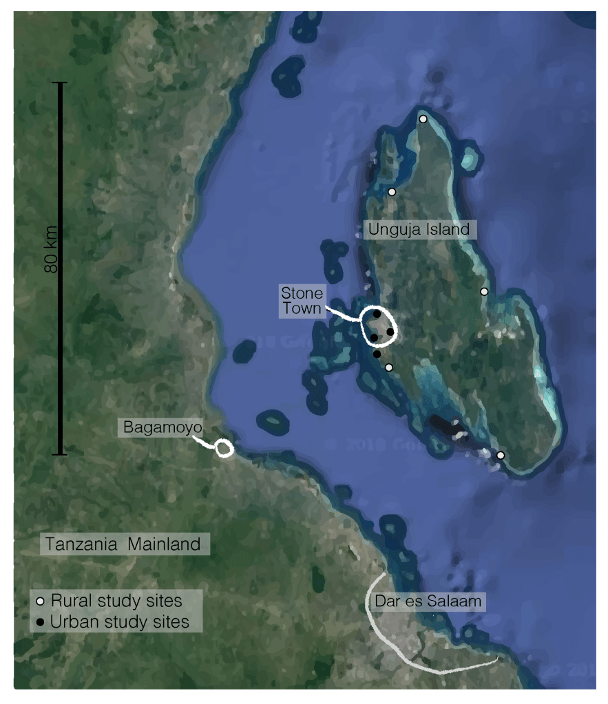 This image has an empty alt attribute; its file name is zanzibar-map-for-kappa-01.png