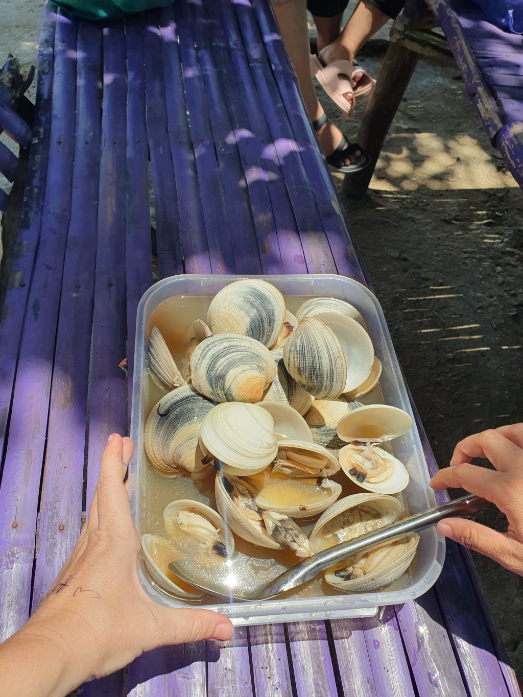 GAFS Gender & Aquaculture in Fisheries- Fisherwomen in Concepcion,&nbsp;Iloilo